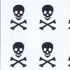 Pirates (b)